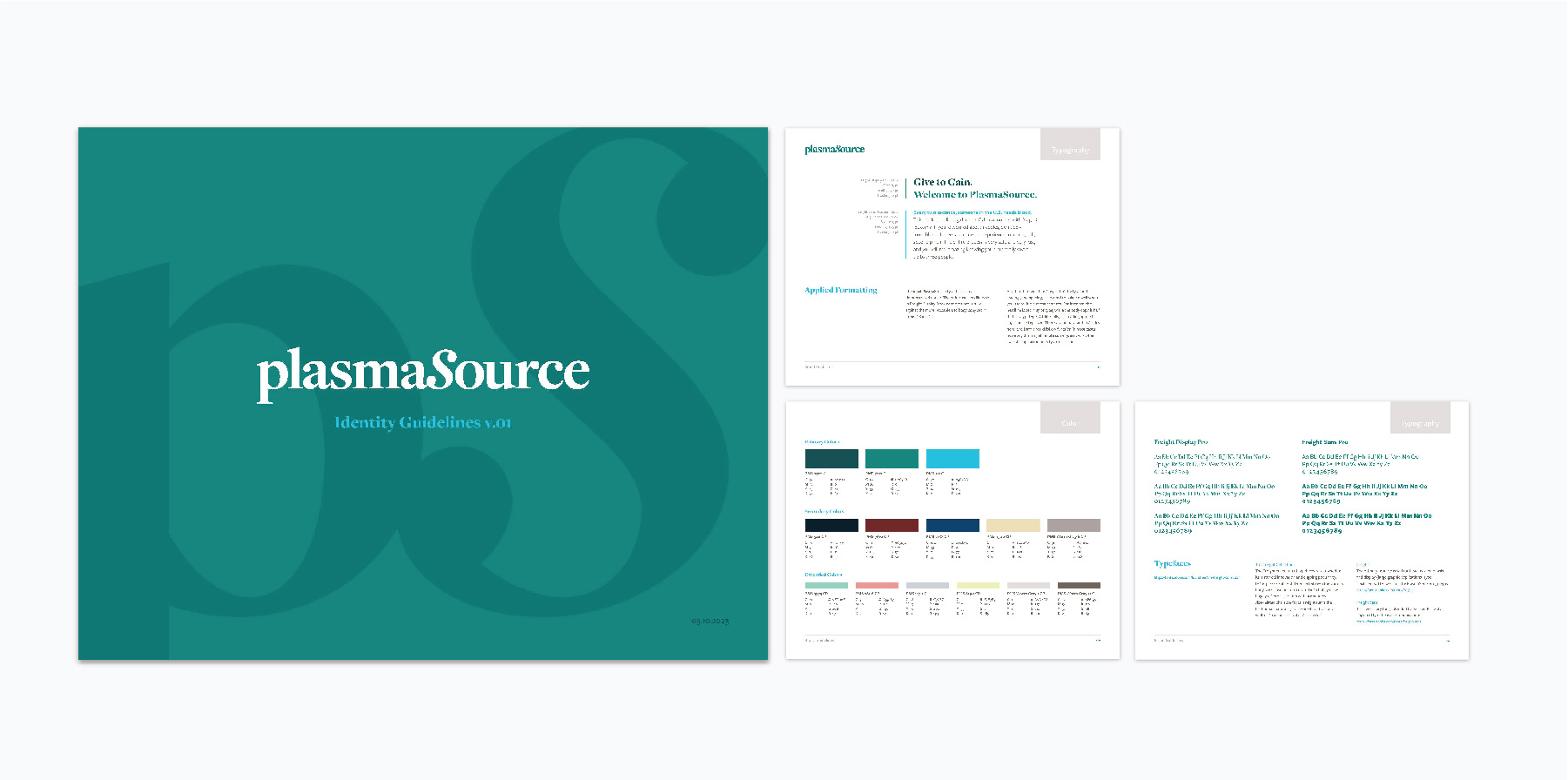 screenshots of plasmaSource's branding guide
